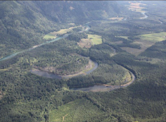 False Claim that Humans Straightened River